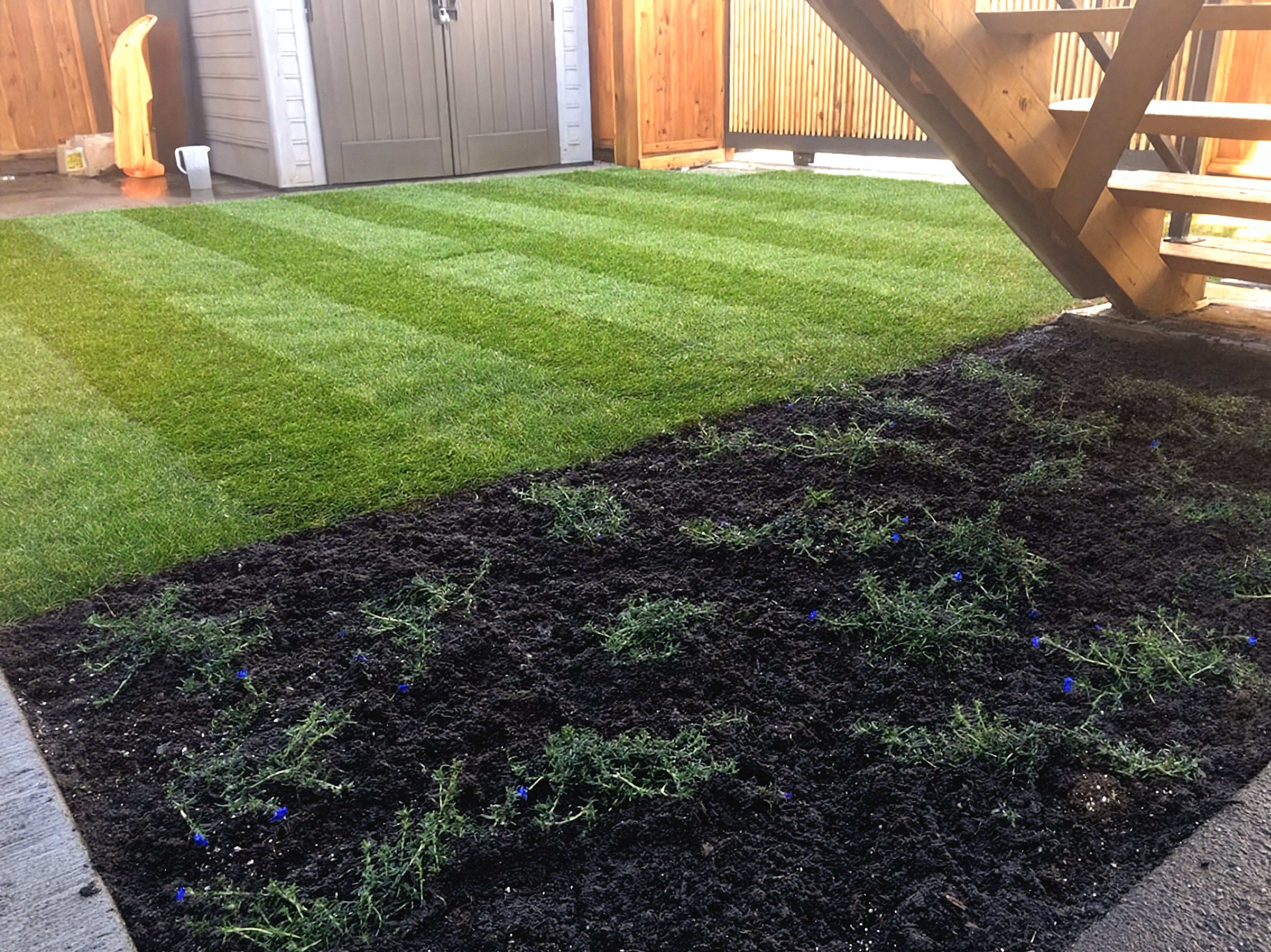 Garden beds, Sod lawn, Concrete slabs and River rock at the East 22nd project.