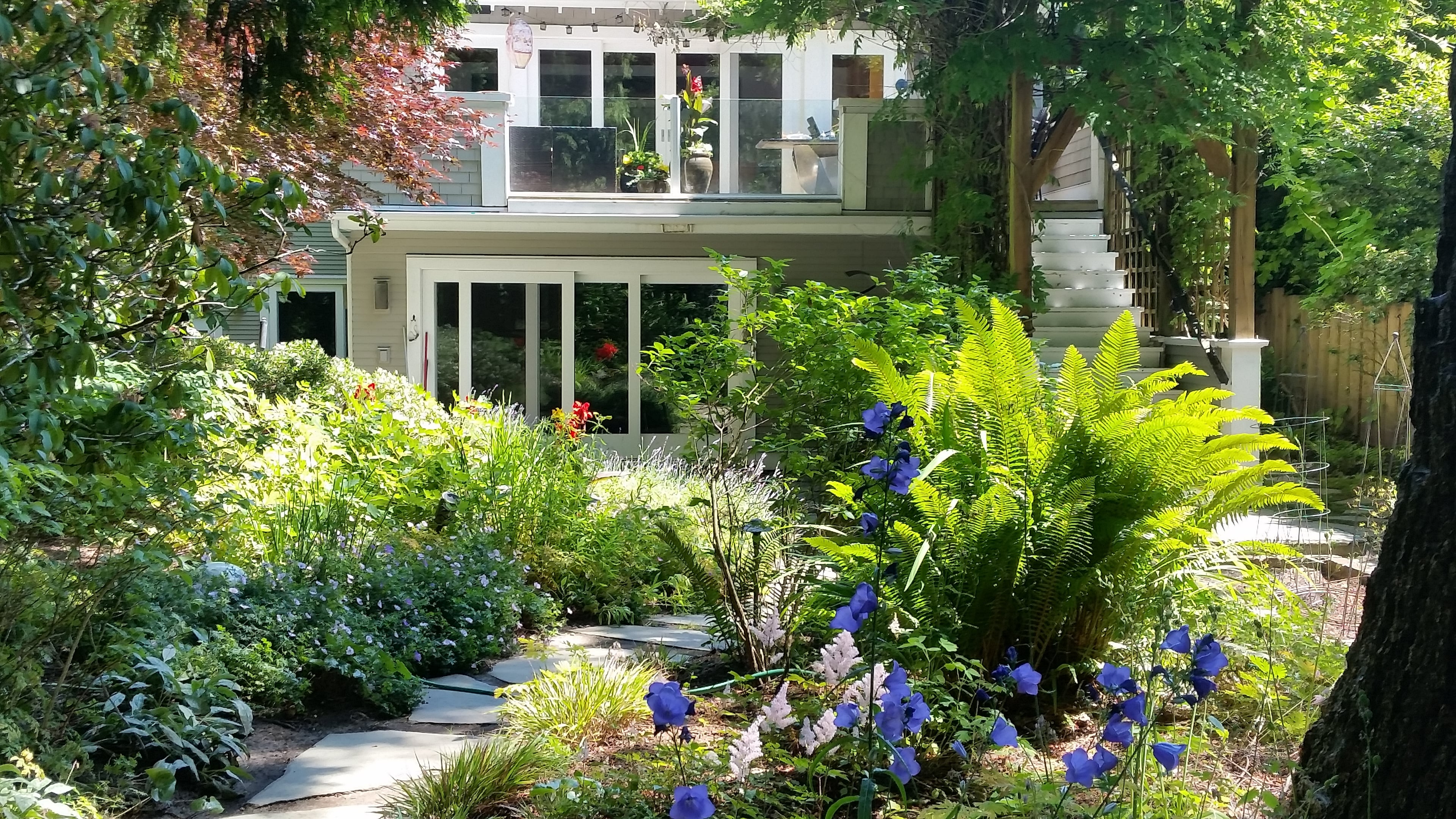Micro clover, Seasonal planting, Sod lawn and River rock at the Elm St project.