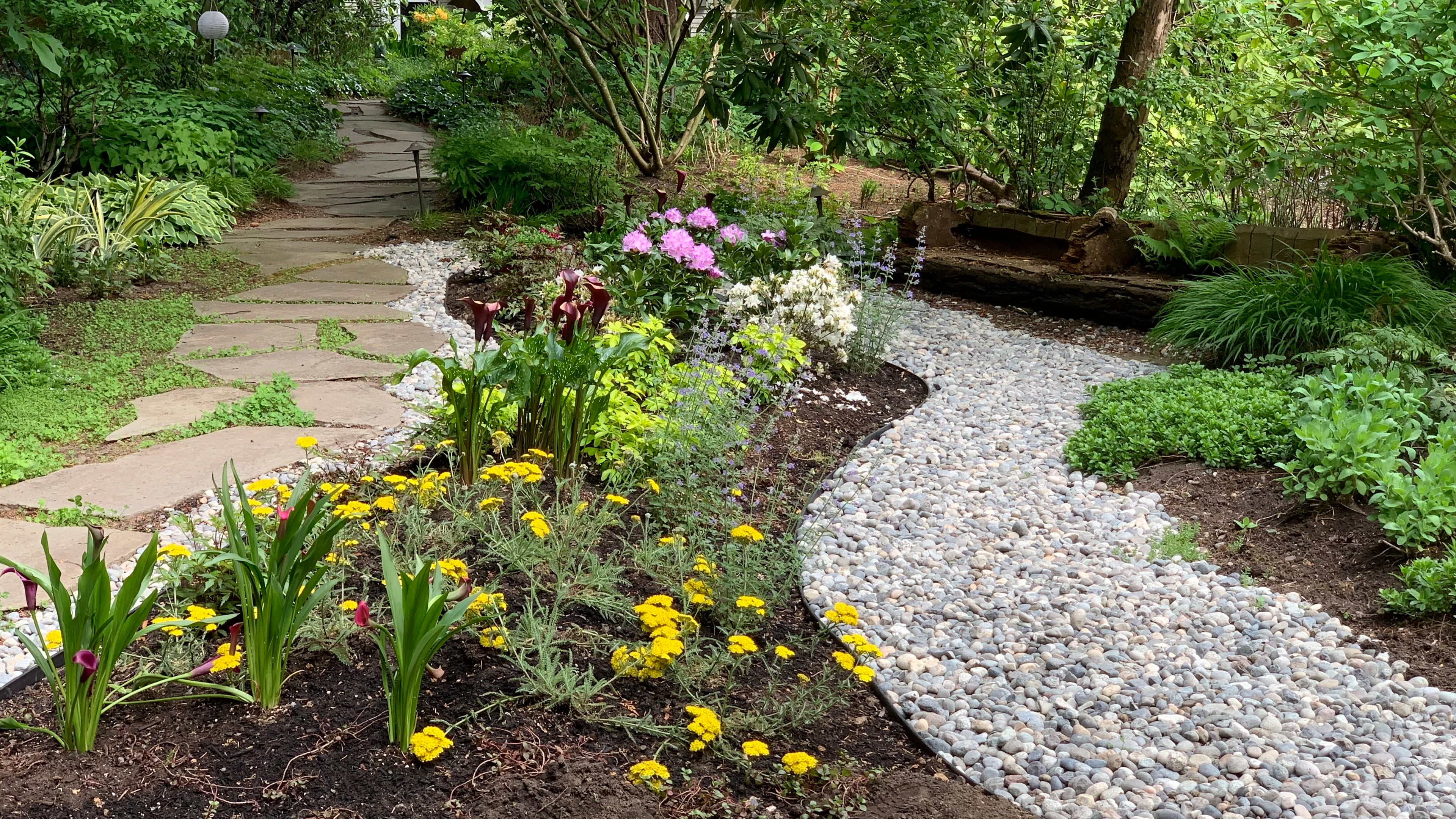 Micro clover, Seasonal planting, Sod lawn and River rock at the Elm St project.