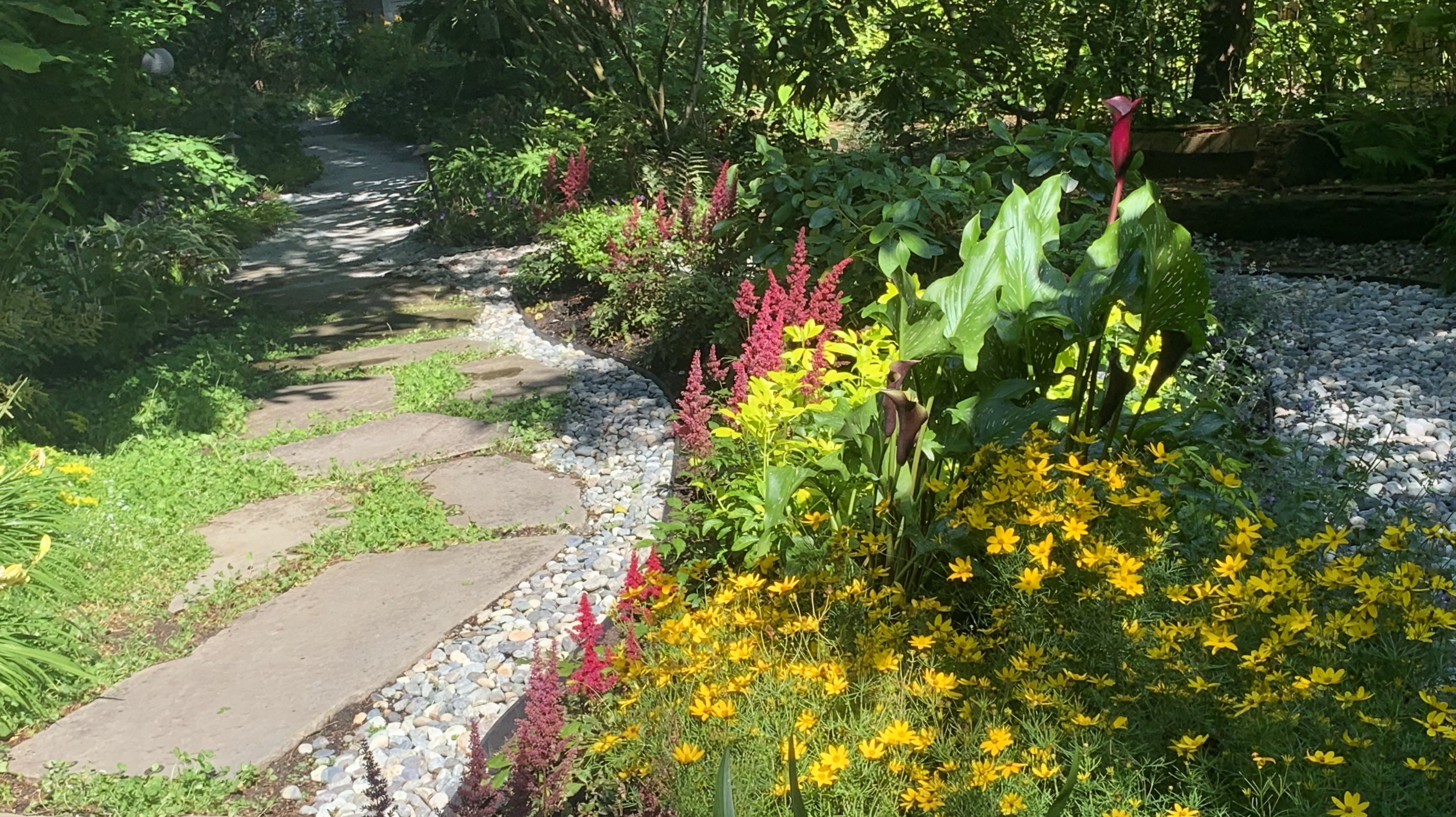 Micro clover, Seasonal planting, Sod lawn and River rock at the Elm St project.