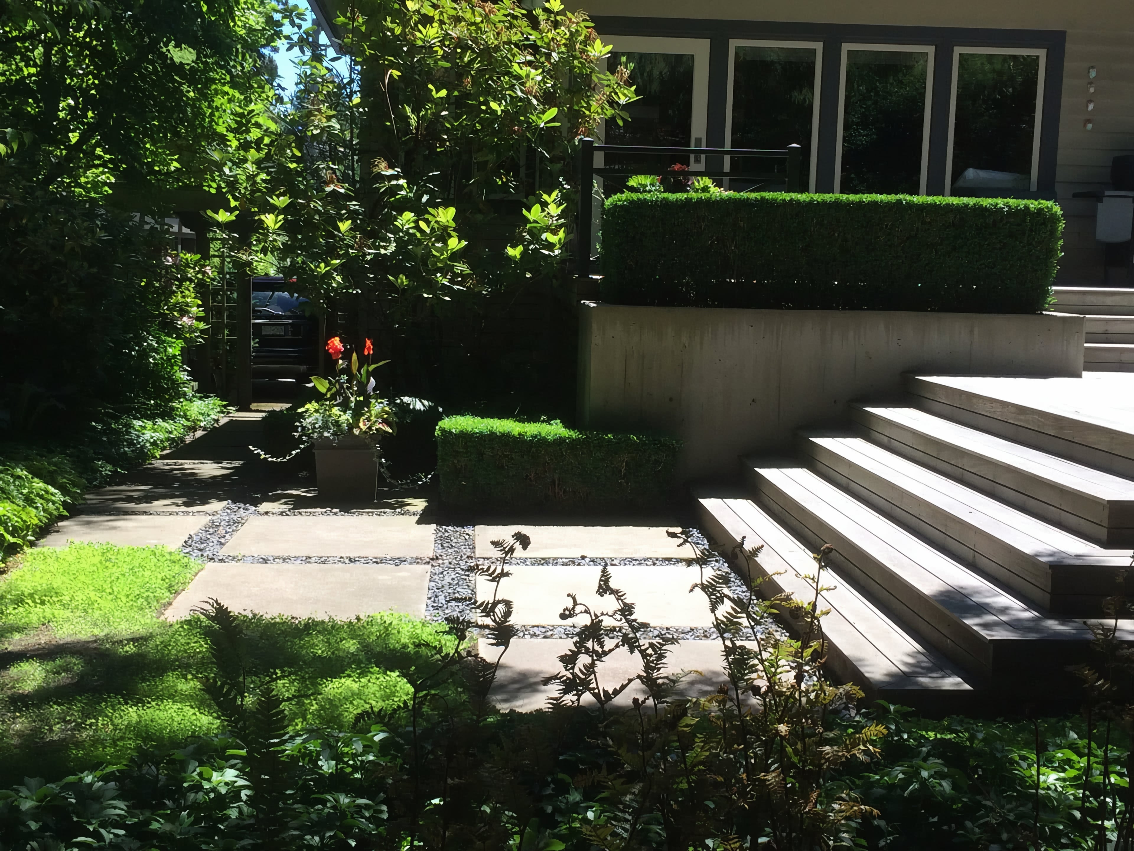 Hedge trimming, Micro clover, Tree pruning and Weeding at the West 43rd project.