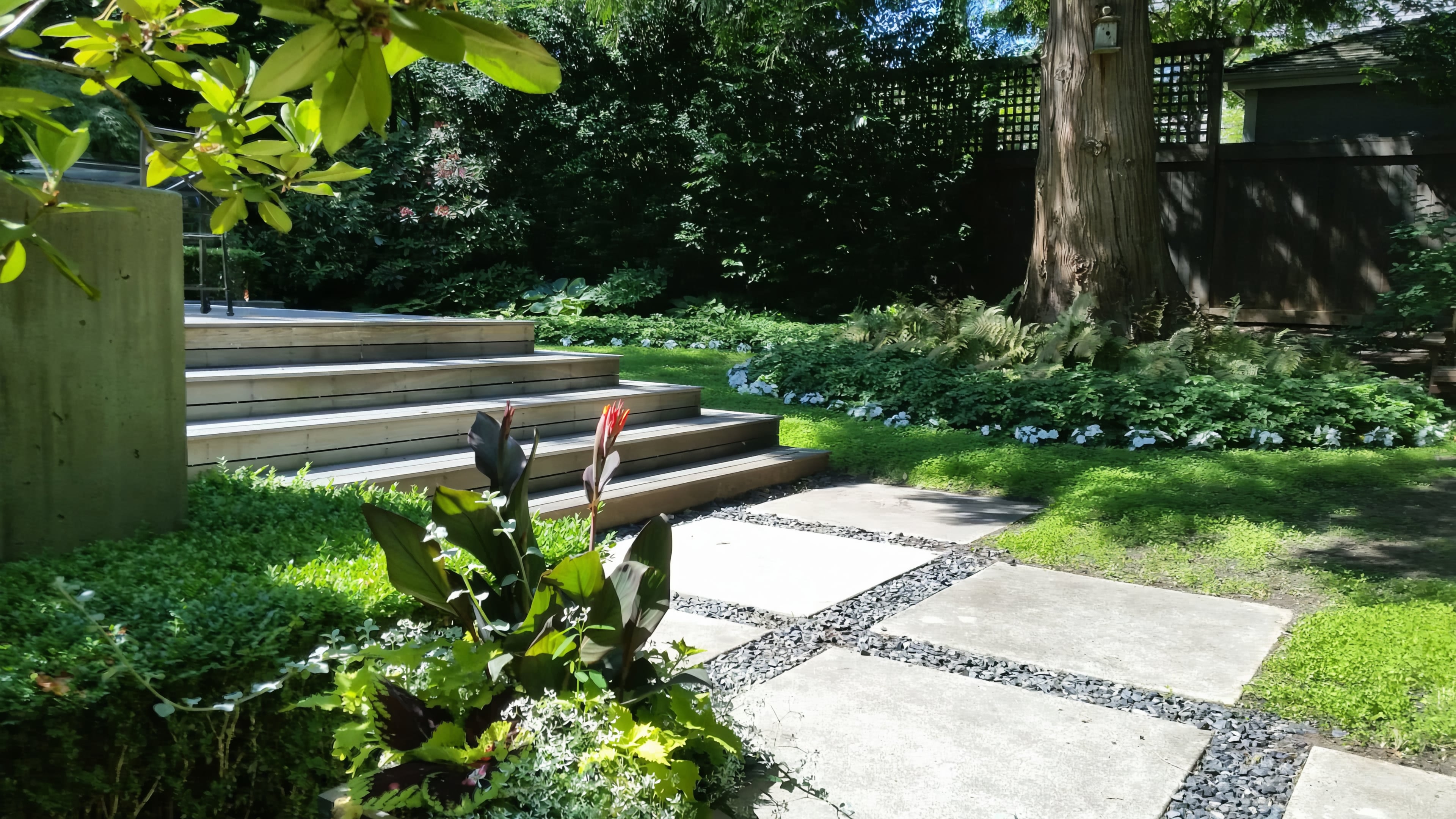Hedge trimming, Micro clover, Tree pruning and Weeding at the West 43rd project.
