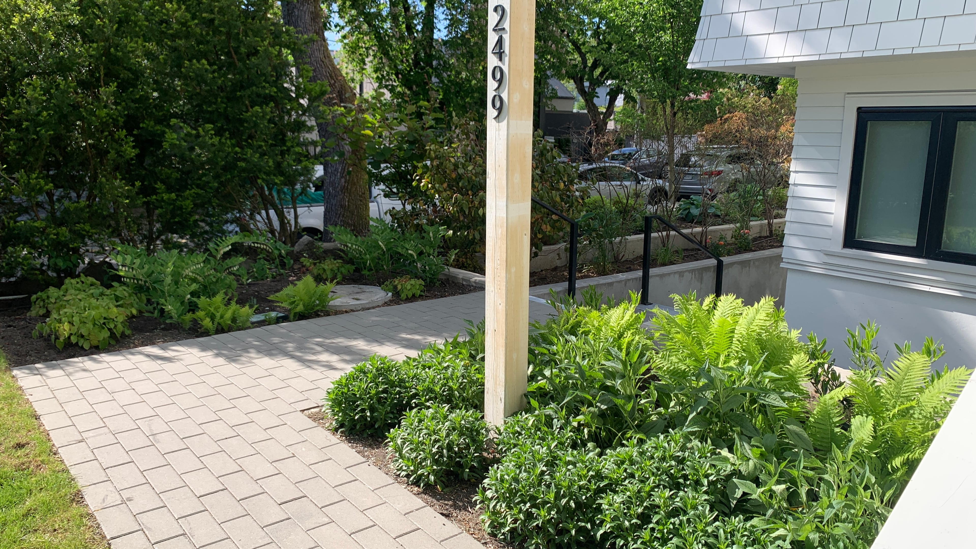 Irrigation, Sod lawn, Plants and Interlocking pavers at the Larch St project.