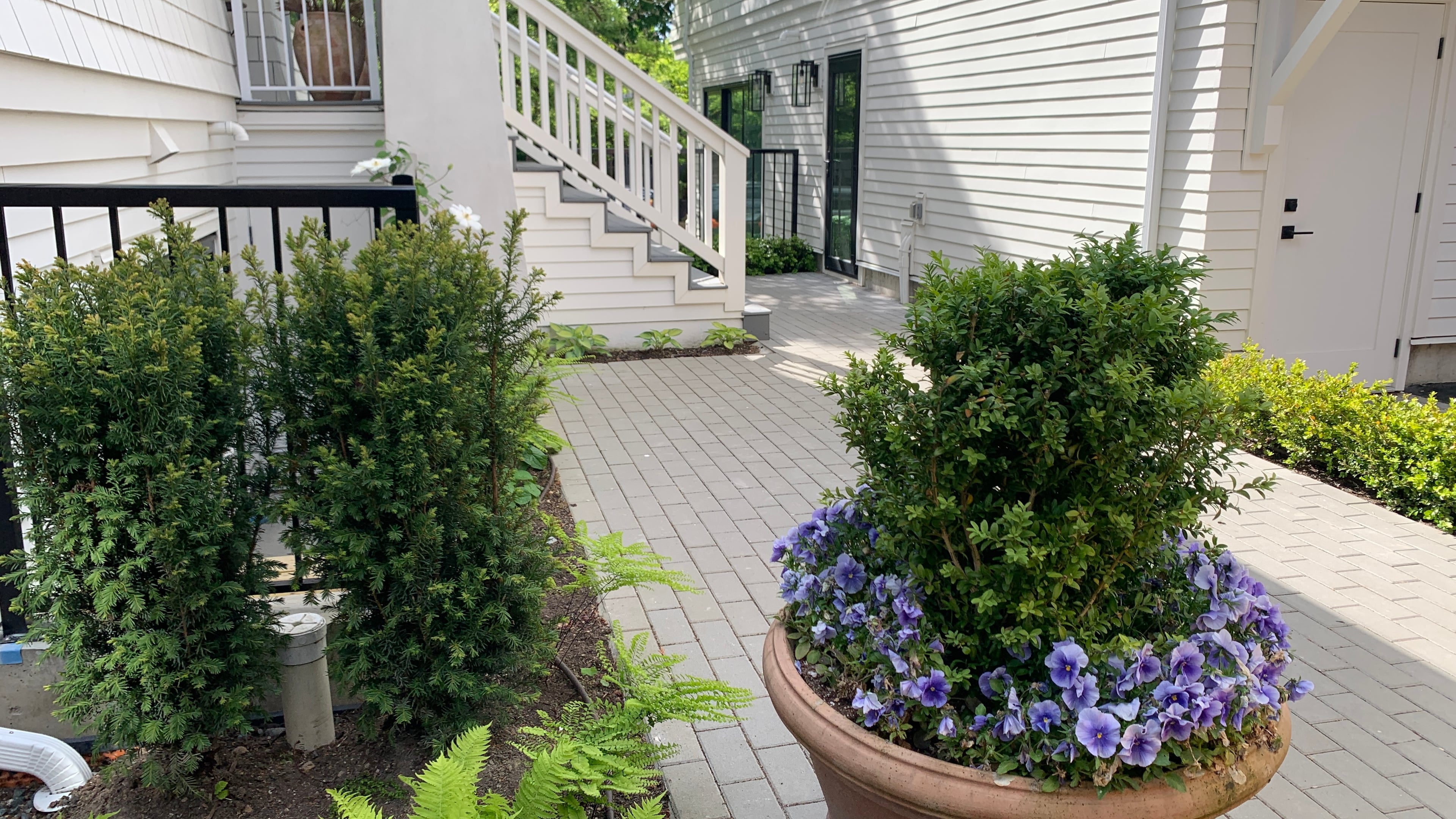 Irrigation, Sod lawn, Plants and Interlocking pavers at the Larch St project.