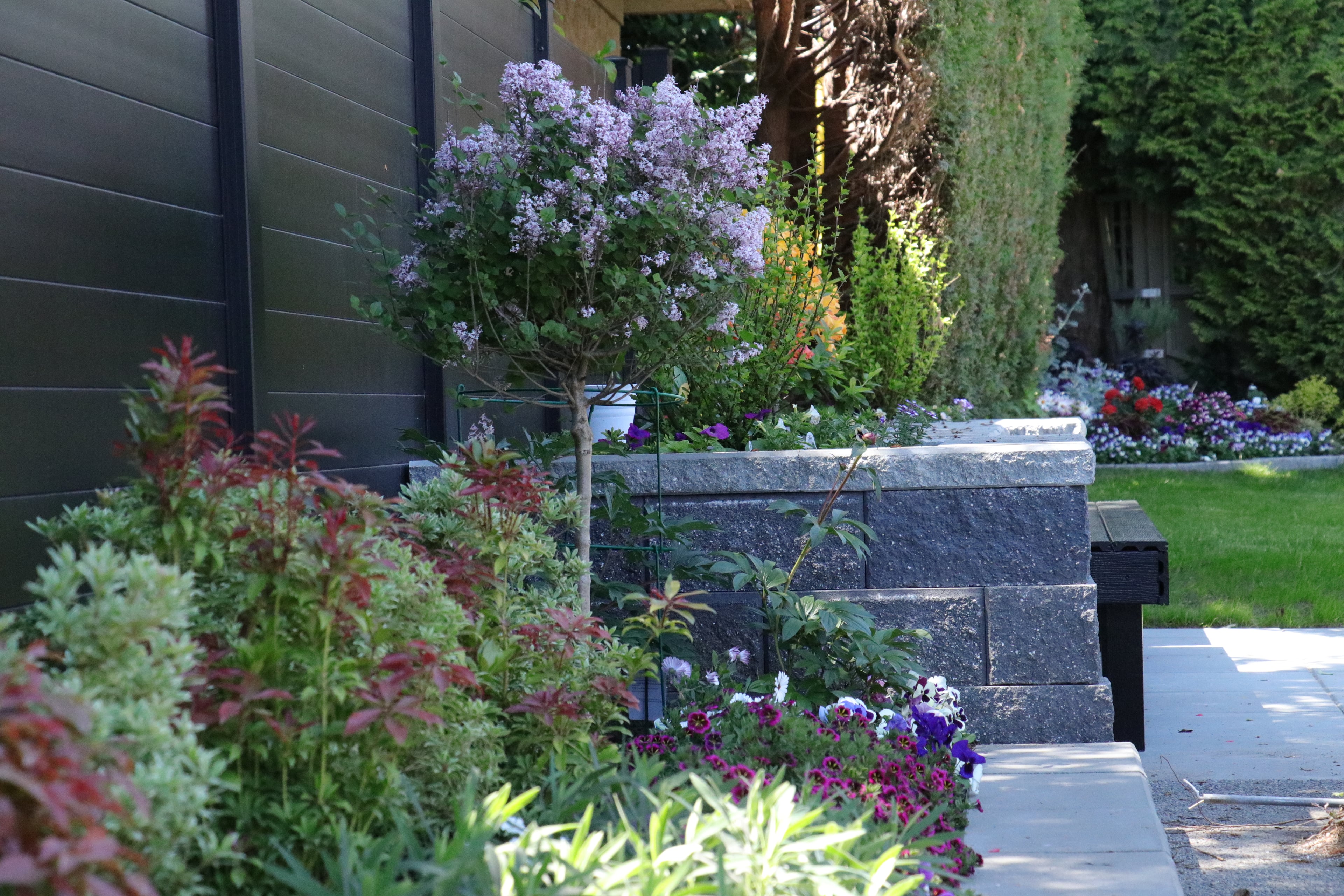 Aluminum fencing, Retaining walls, Seasonal planting and Hedge trimming at the West 35th project.