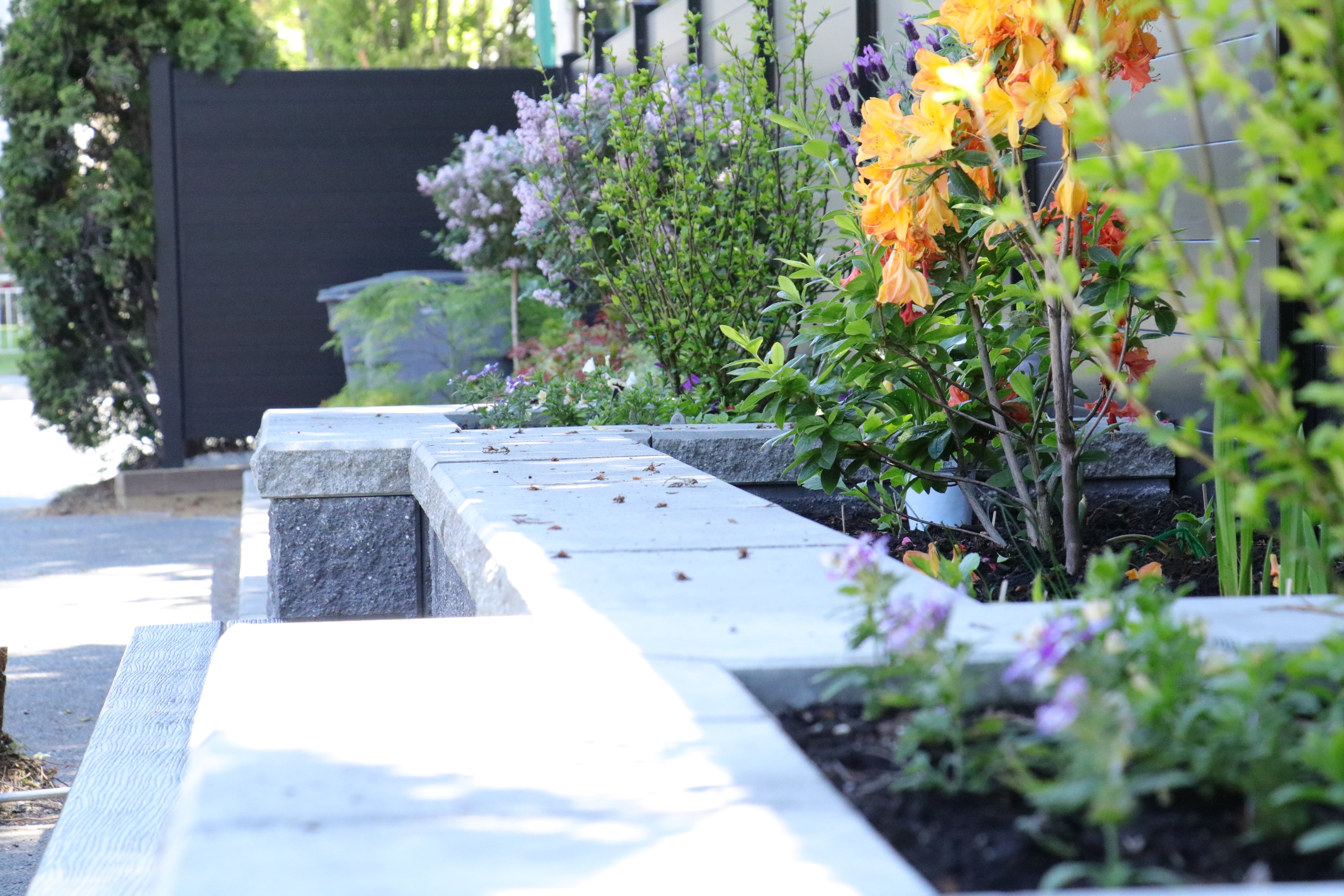 Aluminum fencing, Retaining walls, Seasonal planting and Hedge trimming at the West 35th project.