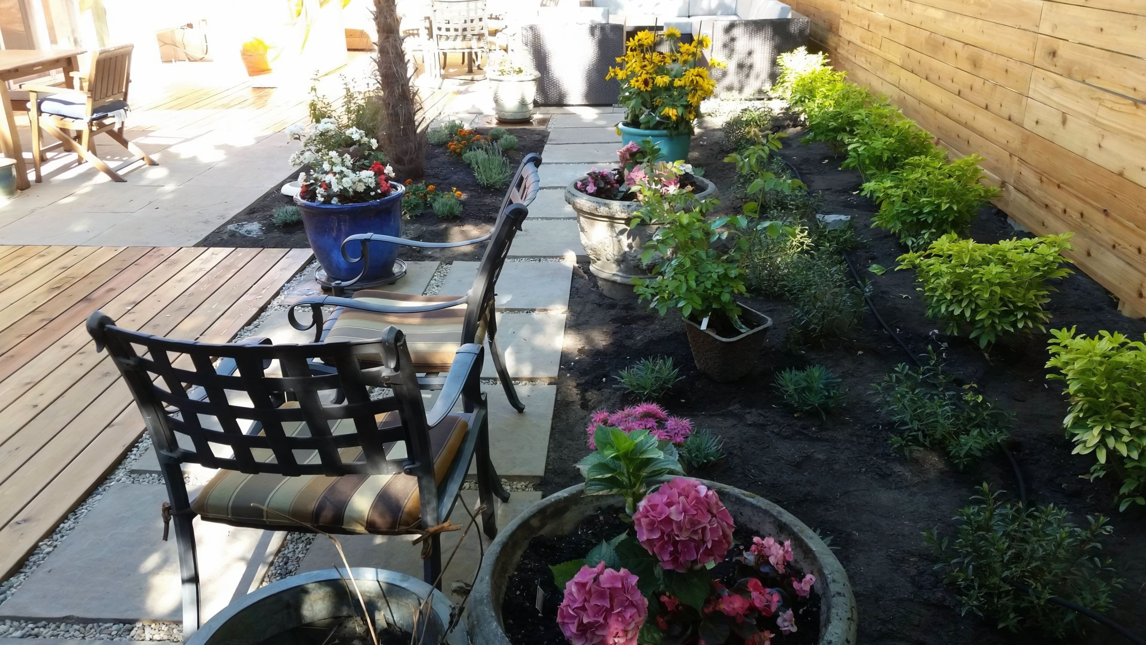Cedar fencing, Cedar patio, Concrete slabs and Trees at the West 6th project.